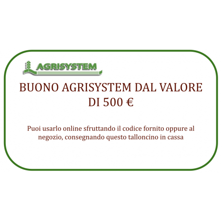 Buono regalo 500€